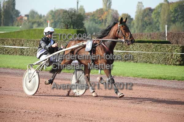 ET0Q0084 prot