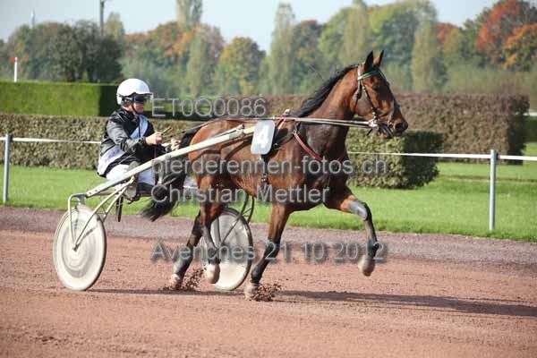 ET0Q0086 prot