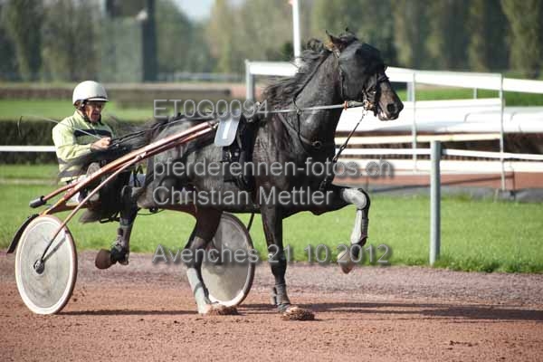ET0Q0094 prot