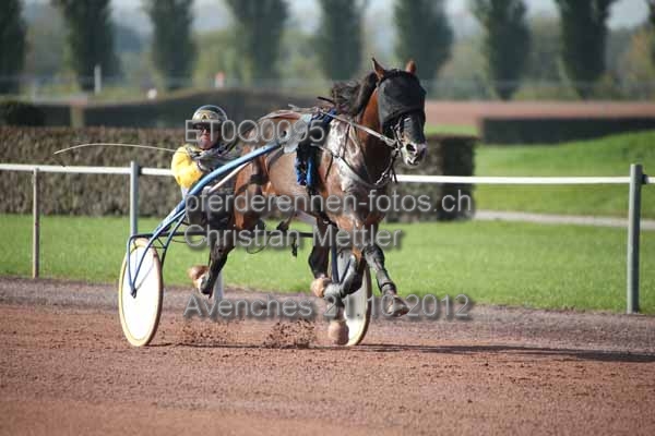 ET0Q0095 prot