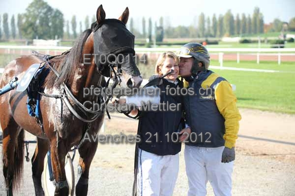 ET0Q0114 prot