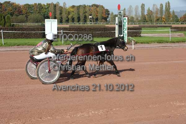 ET0Q0286 prot
