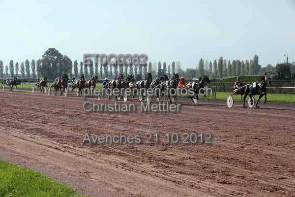 ET0Q0382 prot