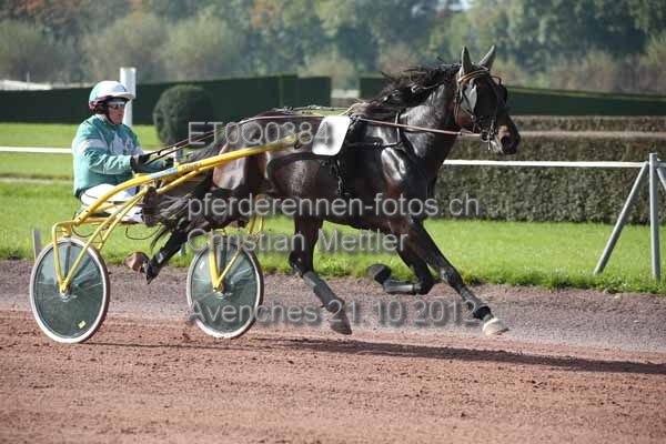 ET0Q0384 prot
