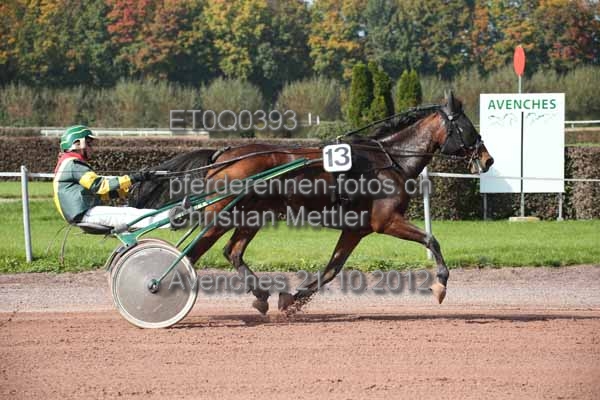 ET0Q0393 prot