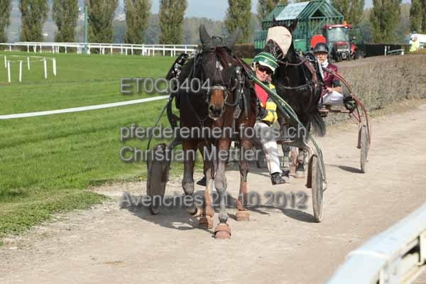 ET0Q0404 prot