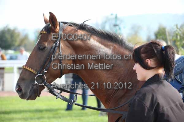 ET0Q0407 prot