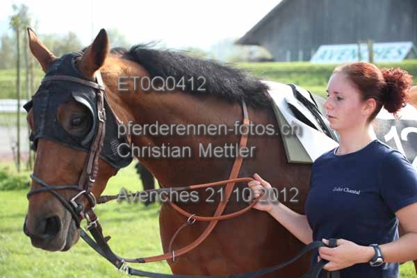 ET0Q0412 prot