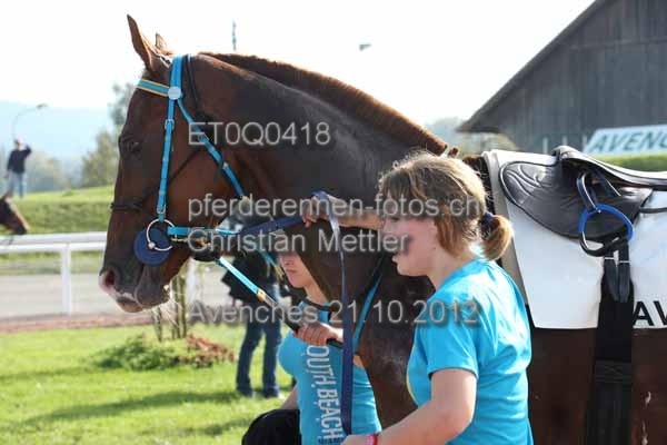 ET0Q0418 prot
