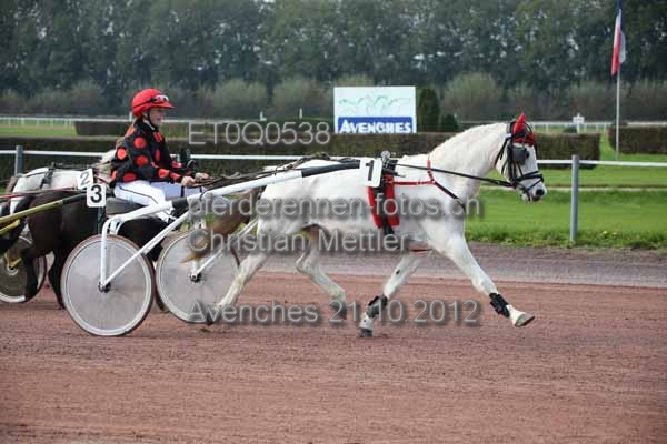 ET0Q0538 prot