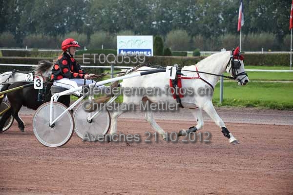 ET0Q0539 prot