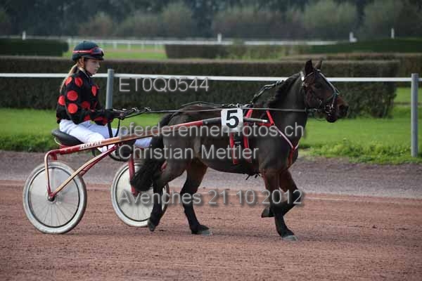 ET0Q0544 prot