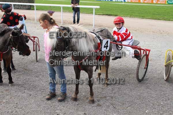 ET0Q0554 prot