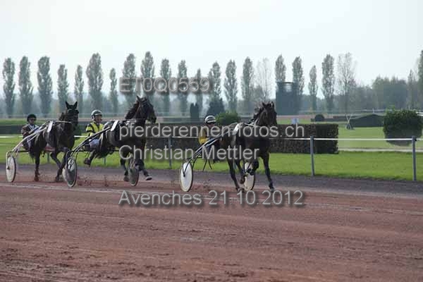 ET0Q0559 prot