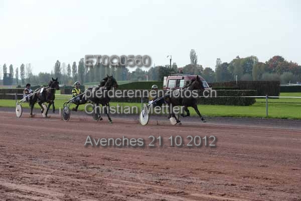 ET0Q0560 prot