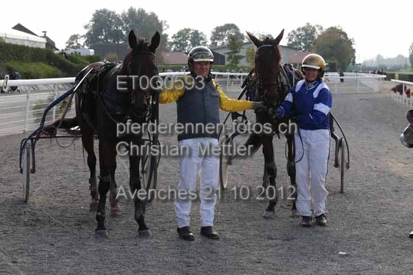 ET0Q0593 prot