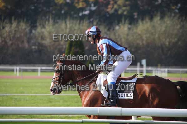 ET0Q0712 prot