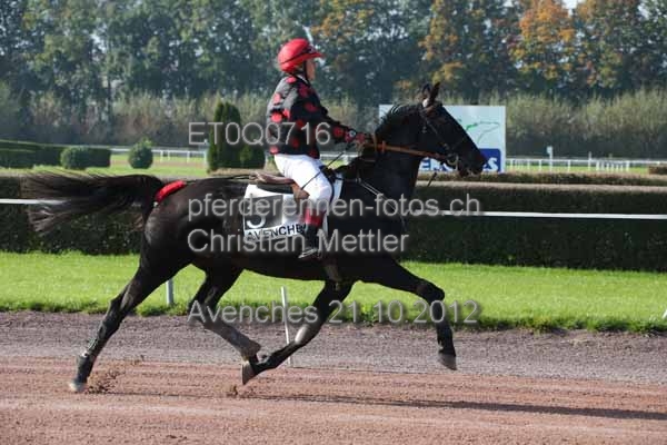 ET0Q0716 prot