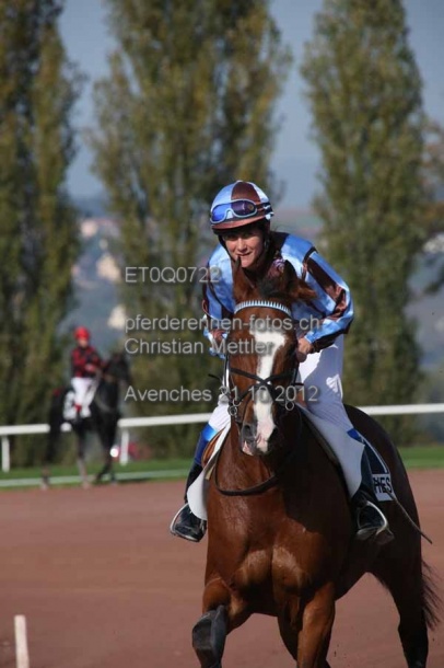 ET0Q0722 prot