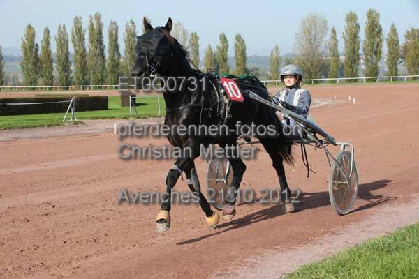 ET0Q0731 prot