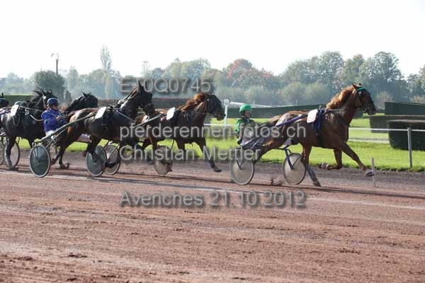 ET0Q0745 prot