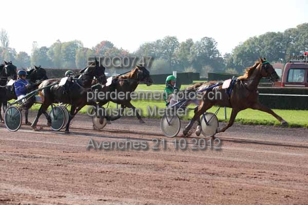 ET0Q0747 prot