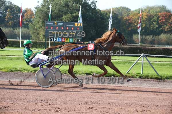 ET0Q0749 prot
