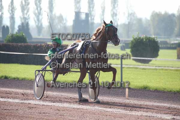 ET0Q0753 prot