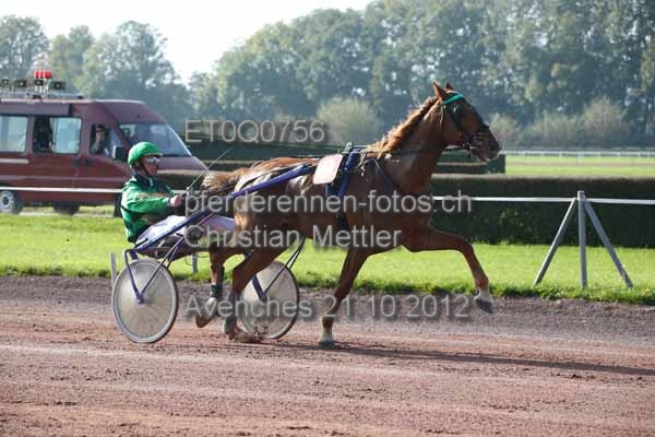 ET0Q0756 prot