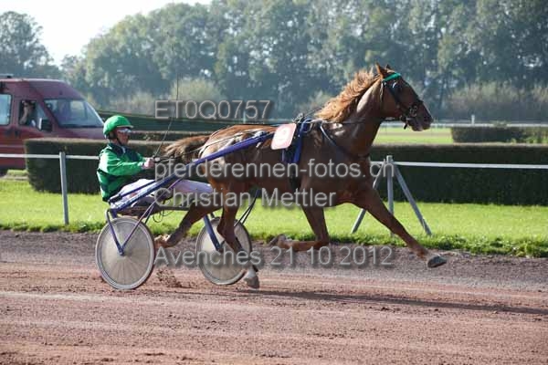 ET0Q0757 prot