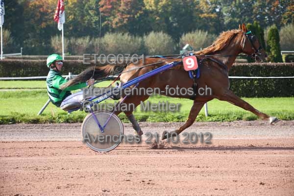 ET0Q0761 prot