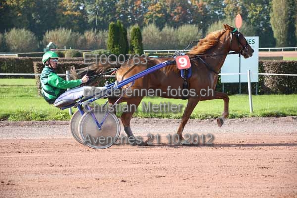 ET0Q0763 prot