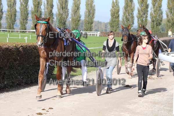 ET0Q0774 prot