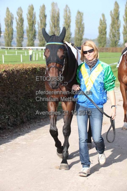ET0Q0830 prot