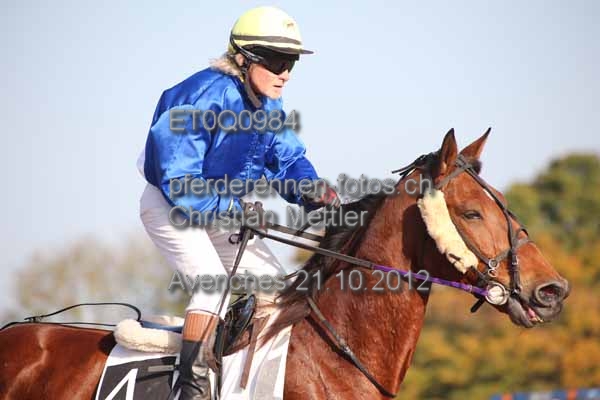 ET0Q0984 prot