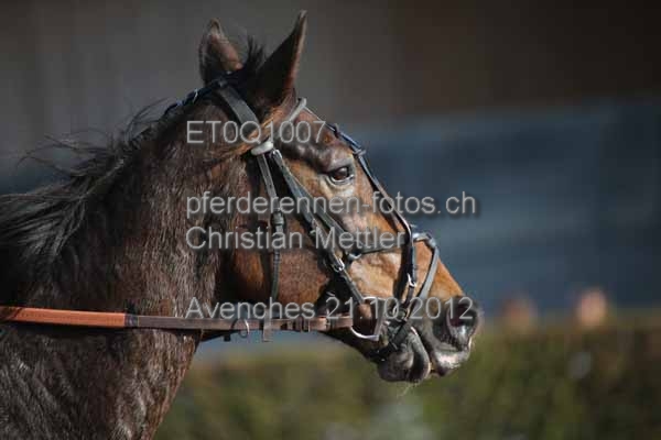 ET0Q1007 prot