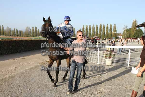 ET0Q1235 prot