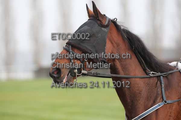 ET0Q0002 prot