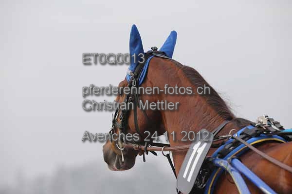 ET0Q0013 prot
