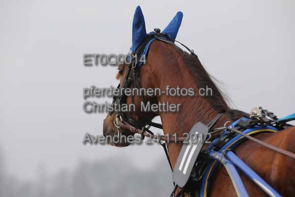 ET0Q0014 prot