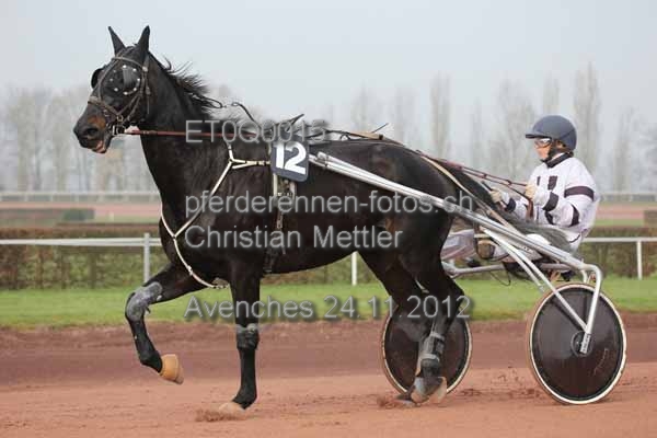 ET0Q0015 prot