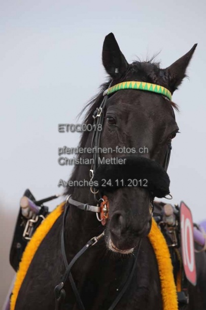 ET0Q0018 prot