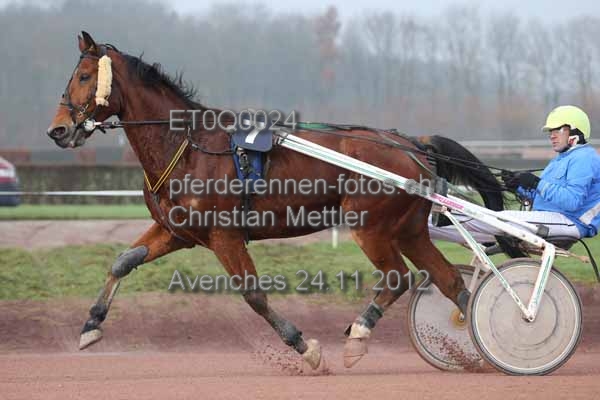 ET0Q0024 prot