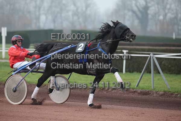 ET0Q0031 prot