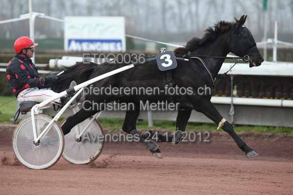 ET0Q0036 prot