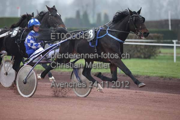 ET0Q0045 prot