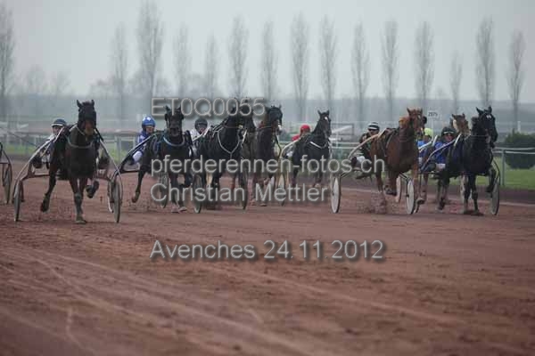 ET0Q0055 prot