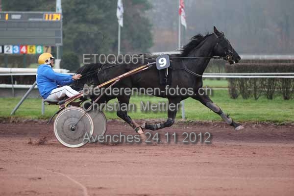 ET0Q0061 prot