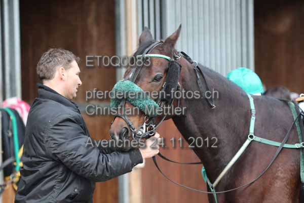 ET0Q0083 prot