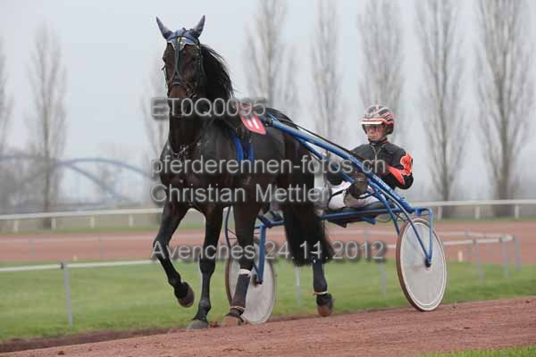ET0Q0095 prot